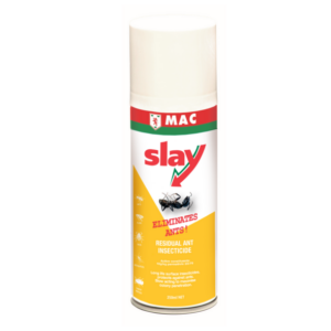 MAC Slay Ant 250ml 1 Welcome to the October Newsletter!